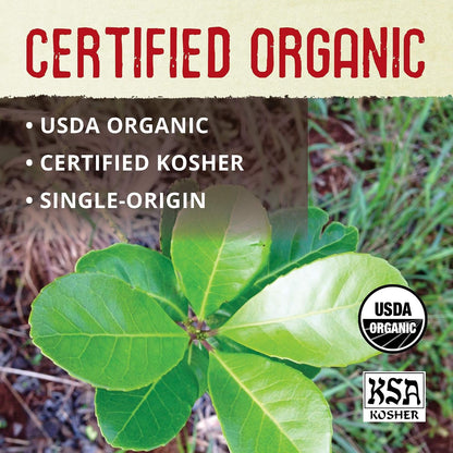 Organic Yerba Mate Tea Bags Unsmoked 100 Count 8.8 Oz Pack of 1 | Organic Unsmoked Yerba Mate 100 Bulk Bags, USDA Organic Kosher Non-Gmo Gluten Free, Low Acid Smooth Natural Caffeine3