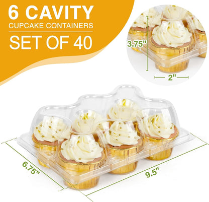 6 Count X 40 Sets Cupcake Containers, Clear Plastic Cupcake Boxes | Thick Plastic Muffin Holders with Detachable Tall Dome Lid, Disposable Cupcake Carriers, BPA Free, Standard Size2