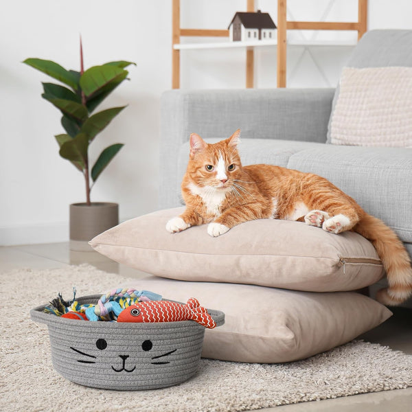 Small Cat Toy Basket, 10”X10”X4” Gray Cotton Rope Storage Bin with Handles, Woven Cat Organizer Box for Indoor Pets, Cute Kitty Easter Basket Gifts Empty, Living Room Nursery Decor6
