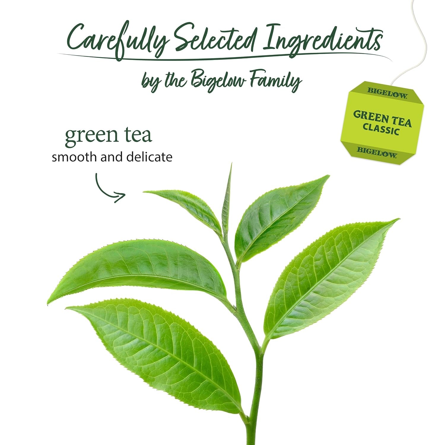 classic-green-tea-20-count-pack-of-6-caffeinated-tea-120-total-tea-bags