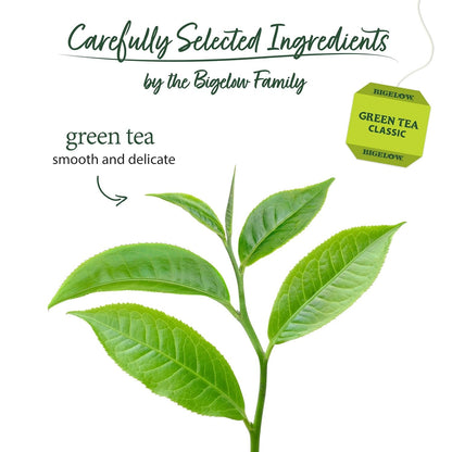 Classic Green Tea, 20 Count (Pack of 6) | Caffeinated Tea, 120 Total Tea Bags4