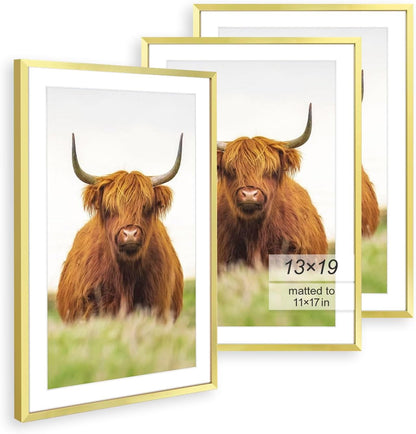 13X19 Picture Frame for 11X17 Photo,Plastic/Plexiglass1