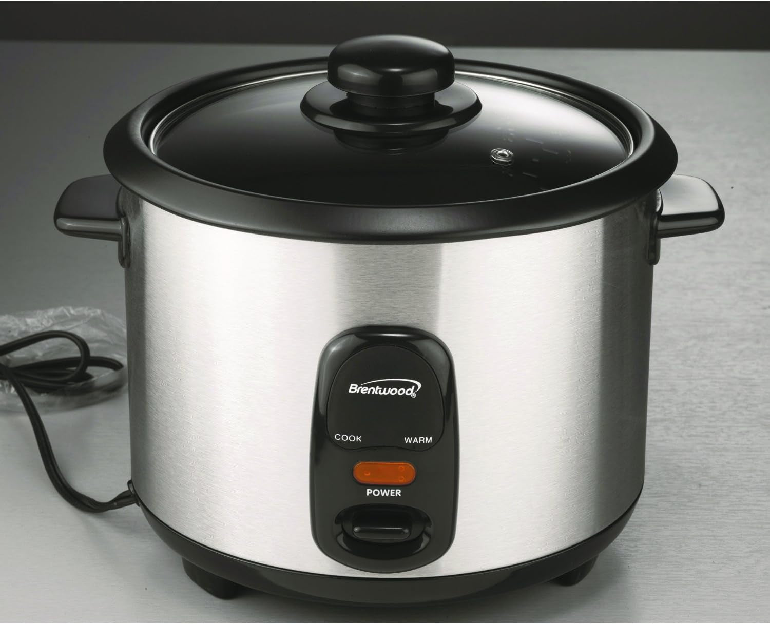 ts-20-rice-cooker-10-cup-stainless-steel