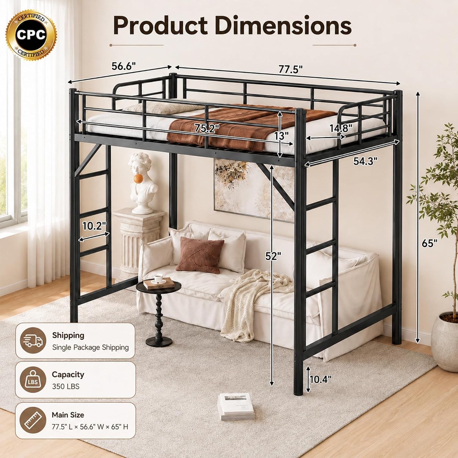 full-loft-bed-metal-round-pipe-dual-ladders-save-space-black