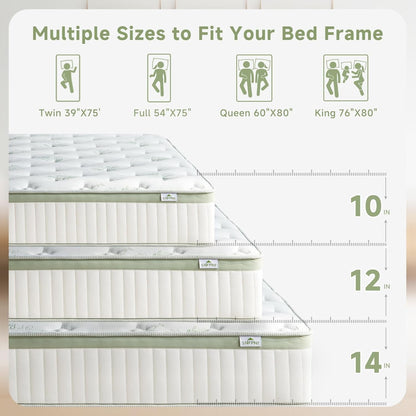 Full Size Mattress 12 Inch, Medium Firm Memory Foam Hybrid Mattress with Individual Pocket Spring - Pressure Relief, Motion Isolation, Cool Sleep, 54" X 75"7