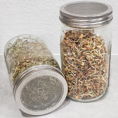 2 Pack ONE-PIECE 316 Surgical Stainless Steel Sprouting Lids for Wide Mouth Mason Jar (Ball Kerr) - One-Piece- Strainer Mesh Lids - Rust-Proof6