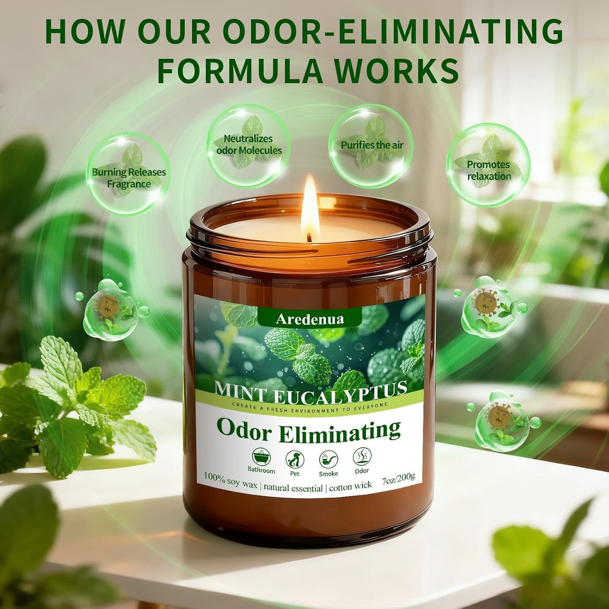 mint-eucalyptus-odor-eliminating-candles-7-oz-soy-scented-candle