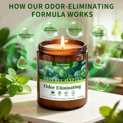 Mint Eucalyptus Odor Eliminating Candles, 7 Oz Soy Scented Candle6