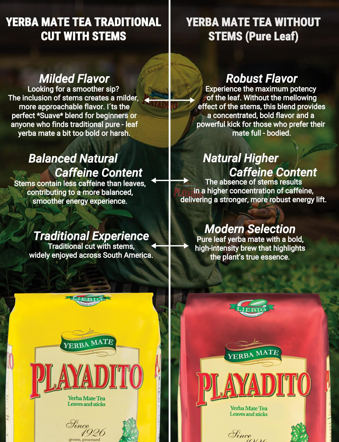 yerba-mate-500gm