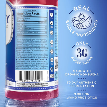 the Real Kombucha - Gingerberry - 16 Fl Oz Bottle - Raw Probiotic Drink for Gut Health and Immune Support2
