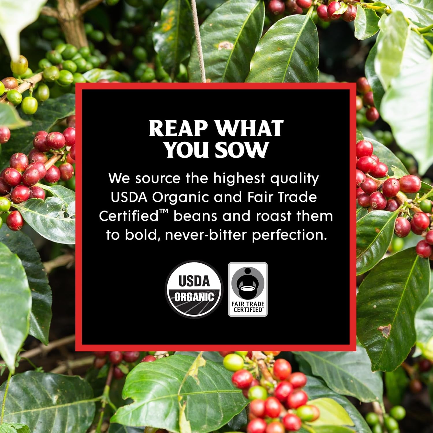 dark-roast-single-serve-coffee-pods-organic-50-count-fair-trade-arabica-robusta-bakers-chocolate-cherry-notes-low-acidity-heavy-smooth-body-bold-intense