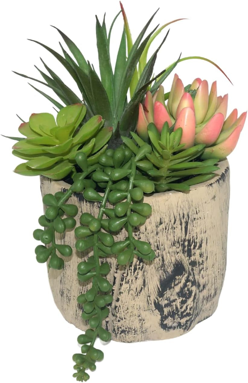 succulents-plants-artificial-faux-succulent-plants-in-elegant-ceramic-pot-assorted-faux-potted-succulent-plant-for-home-living-rooms-bedroom-decor-7-9