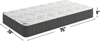 9" Hybrid Twin Mattress - Firm - Made in USA - Individually Pocketed Coils & Certipur-Us Foam - Fiberglass-Free - Bed in a Box2
