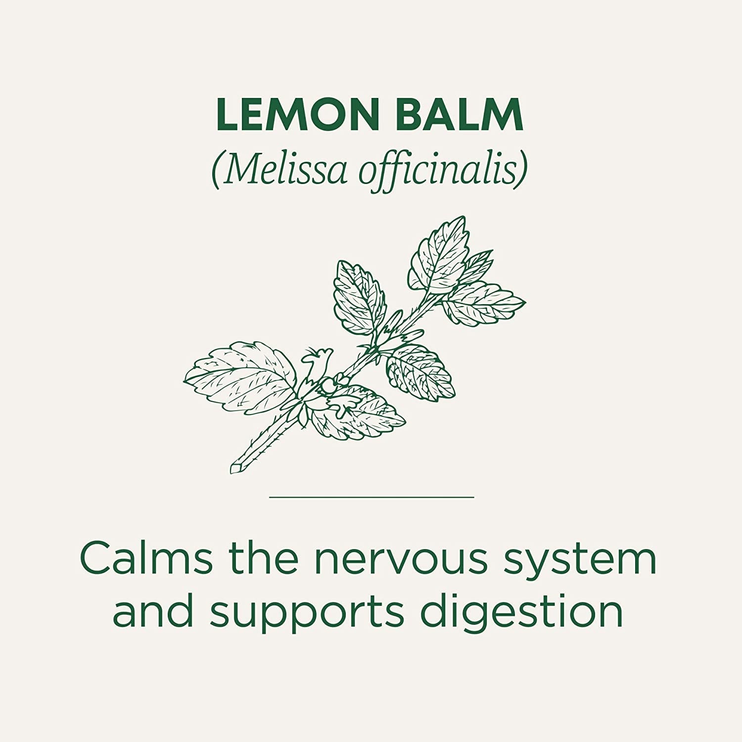 organic-lemon-balm-supports-stress-relief-digestive-health-kosher-non-gmo-caffeine-free-compostable-16-tea-bags-soothes-the-digestive-tract-promotes-respiratory-health-kosher-non-gmo-caffeine-free