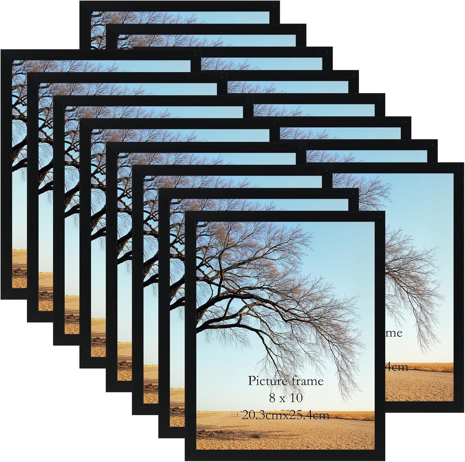 8x10-picture-frame-black-set-of-16-lightweight-8-by-10-photo-frames-bulk-for-gallery-office-living-room-wall-hanging-and-tabletop-display