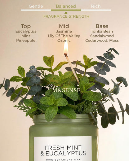 Eucalyptus & Mint Scented Jar Candle, Large 19.4Oz Natural Soy Wax2