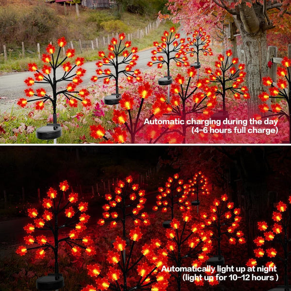 Fall Décor Solar Garden Lights for Outdoor Thanksgiving Decorations,2Pack 40LED RED Maple Leaves Path Lights,Autumn Harvest Outdoor Decorations,Solar Fall Lights for Thanksgiving Party Decor5