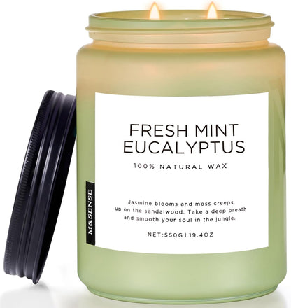 Eucalyptus & Mint Scented Jar Candle, Large 19.4Oz Natural Soy Wax1