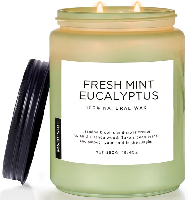 Eucalyptus & Mint Scented Jar Candle, Large 19.4Oz Natural Soy Wax1