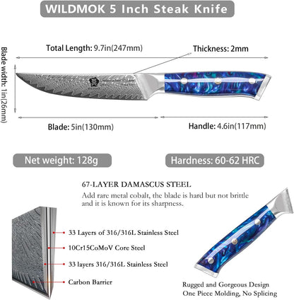 Steak Knives, 5 Inch Non Serrated Steak Knife Set of 4, Japanese Damascus VG10 Steel Steak Knives,Premium Steak Knives Set with Gift Box2