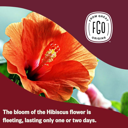 Organic Hibiscus Tea, 100 Count, Eco-Conscious Tea Bags, Caffeine Free, Packaging May Vary (Pack of 1)6
