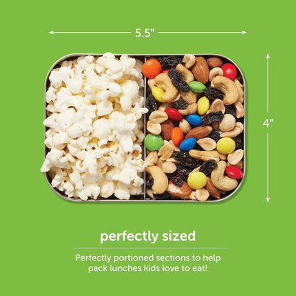 Small Stainless Steel Kids Bento Box 2-Section 16Oz4
