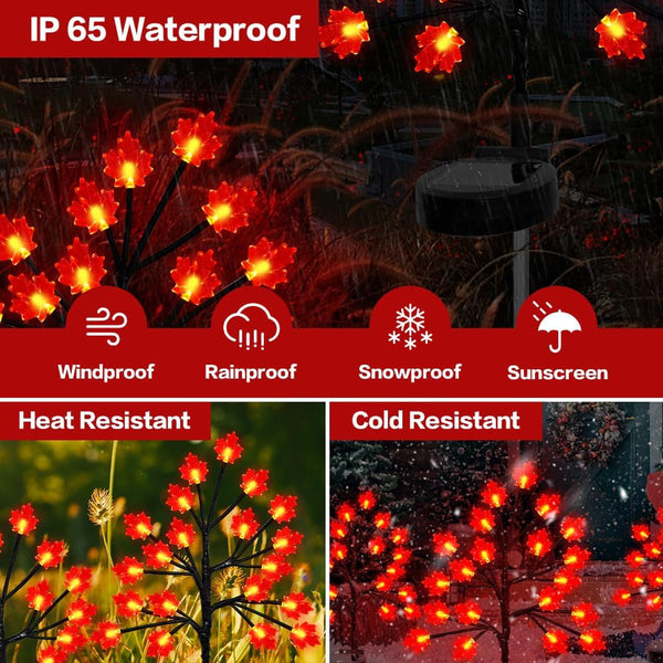 Fall Décor Solar Garden Lights for Outdoor Thanksgiving Decorations,2Pack 40LED RED Maple Leaves Path Lights,Autumn Harvest Outdoor Decorations,Solar Fall Lights for Thanksgiving Party Decor3