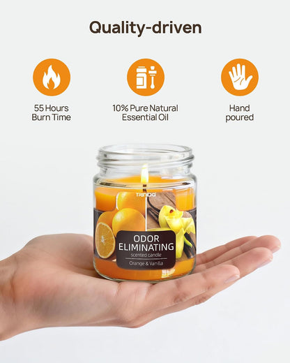 Odor Eliminating Candle Orange Vanilla for Pet Smoke Home6