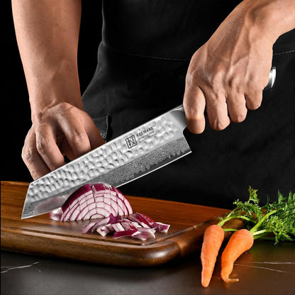 8 Inch Damascus Chef Knife, Japanese Kitchen Knife with VG10 Steel9