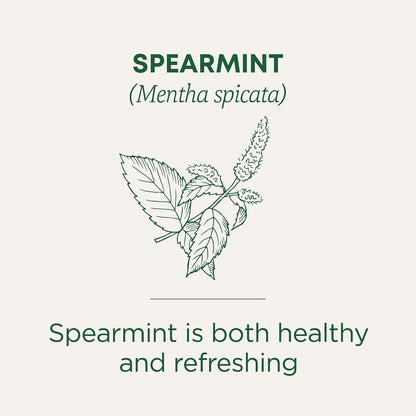 Organic Spearmint, 16 Tea Bags | Supports Everyday Wellness, Healthy & Refreshing, Kosher, Non-Gmo, Caffeine-Free, Compostable3