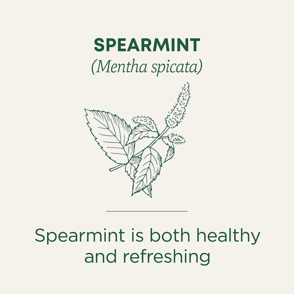 Organic Spearmint, 16 Tea Bags | Supports Everyday Wellness, Healthy & Refreshing, Kosher, Non-Gmo, Caffeine-Free, Compostable3