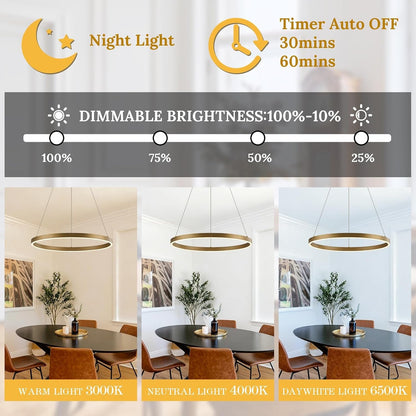 Modern LED Ring Chandelier Brass Gold Chandeliers 24In Dimmable3