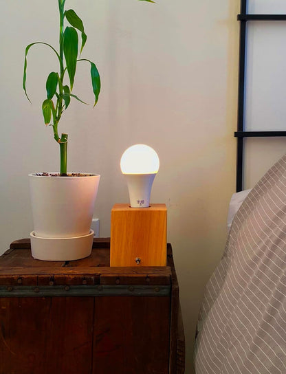 Desk, Table, Bedside Lamp - Modern, Simple, Solid Wood, E26 Edison Base3