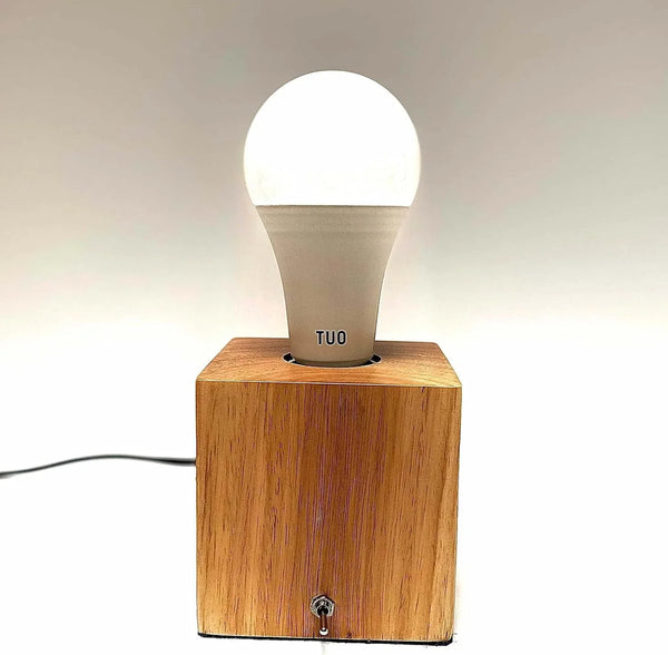 Desk, Table, Bedside Lamp - Modern, Simple, Solid Wood, E26 Edison Base2