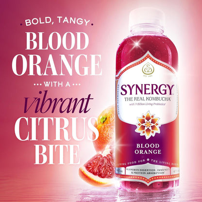 the Real Kombucha - Blood Orange - 16 Fl Oz Bottle - Raw Probiotic Drink for Gut Health and Immune Support2