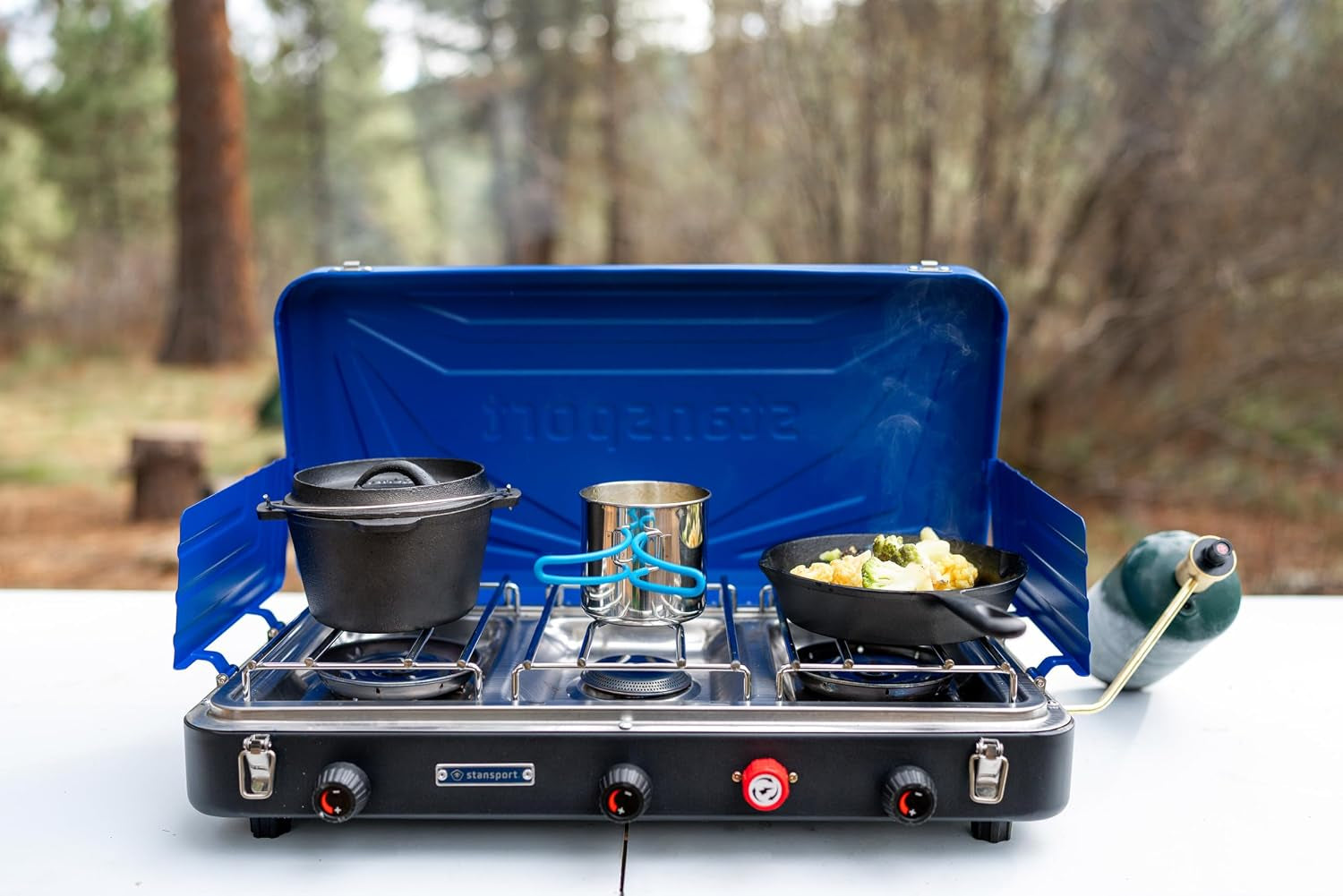 pre-seasoned-cast-iron-dutch-oven