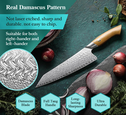 Damascus Chef Knife, 8.5 Inches, 67 Layers Damascus Steel, Professional Japanese Kitchen Knife for Chefs and Home Cooking, Ultra-Sharp Blade with Linen Micarta Handle, Gift Packing2