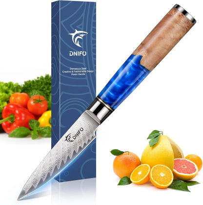 Paring Knife 3.5 Inch, Japanese VG-10 Steel Damascus Knife1