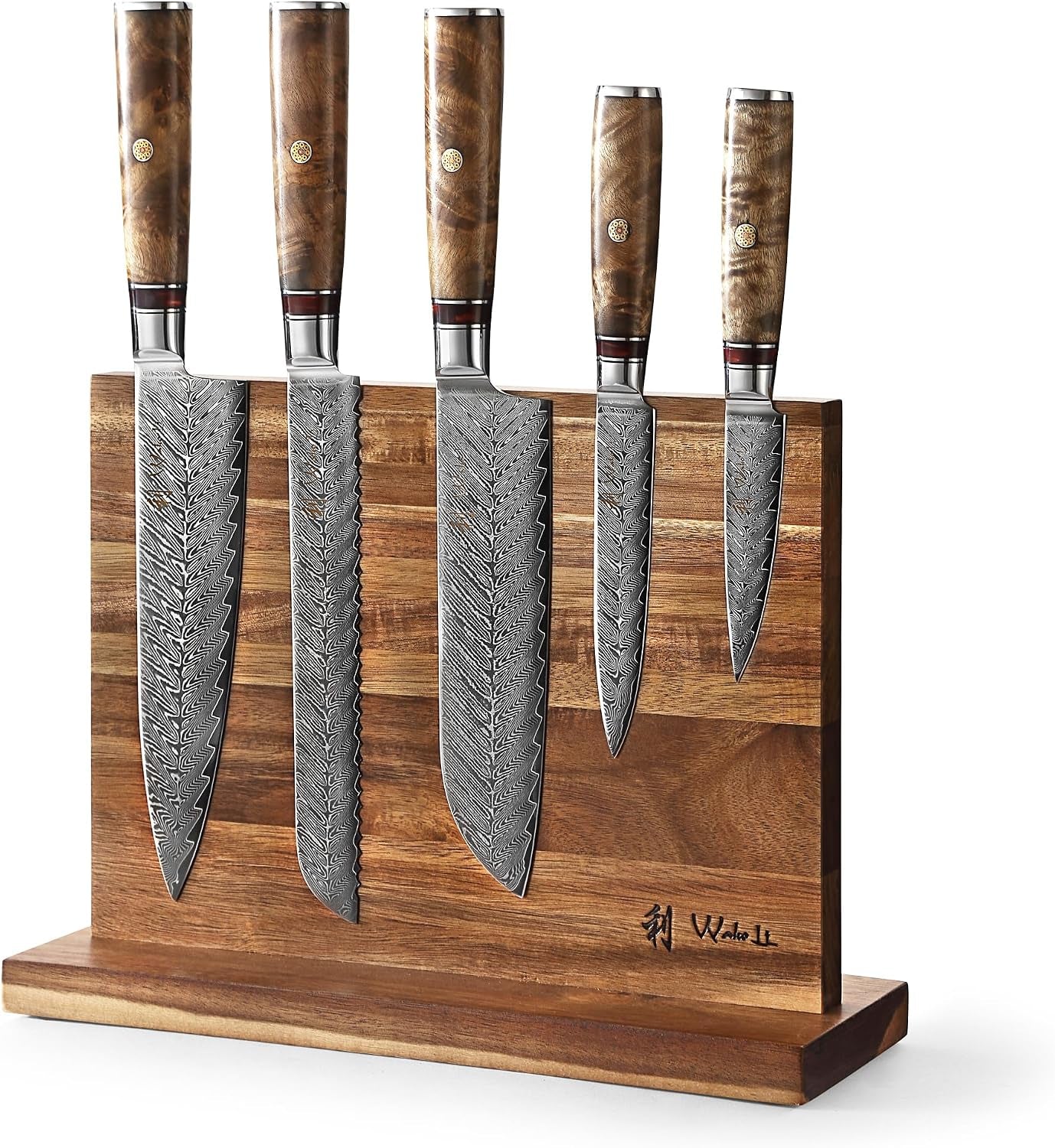 5-piece-damascus-kitchen-knife-set-with-magnetic-block-vg10-core-damascus-knife-set-with-block-67-layer-damascus-steel-sycamore-handles-chef-santoku-bread-utility-and-paring-knives