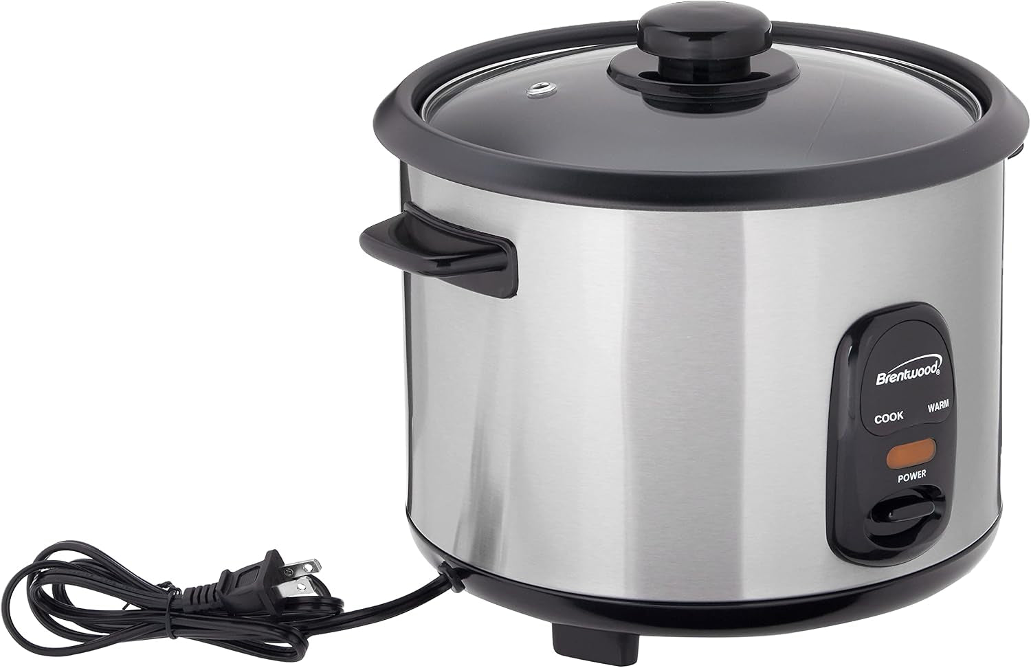 ts-20-rice-cooker-10-cup-stainless-steel