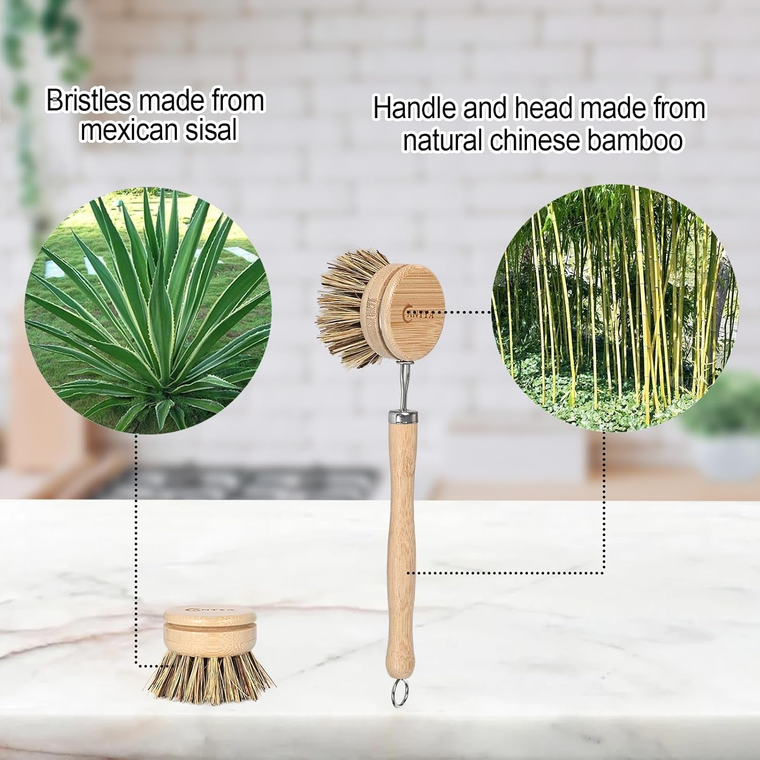 bamboo-dish-scrubber-with-handle-hard-bristle-natural-bristle-brush-sustainable-biodegradable-kitchen-scrub-brush-for-dishes-pans-and-pots