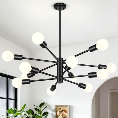12 Light Modern Chandelier for Dining Room, Black Light Fixture1