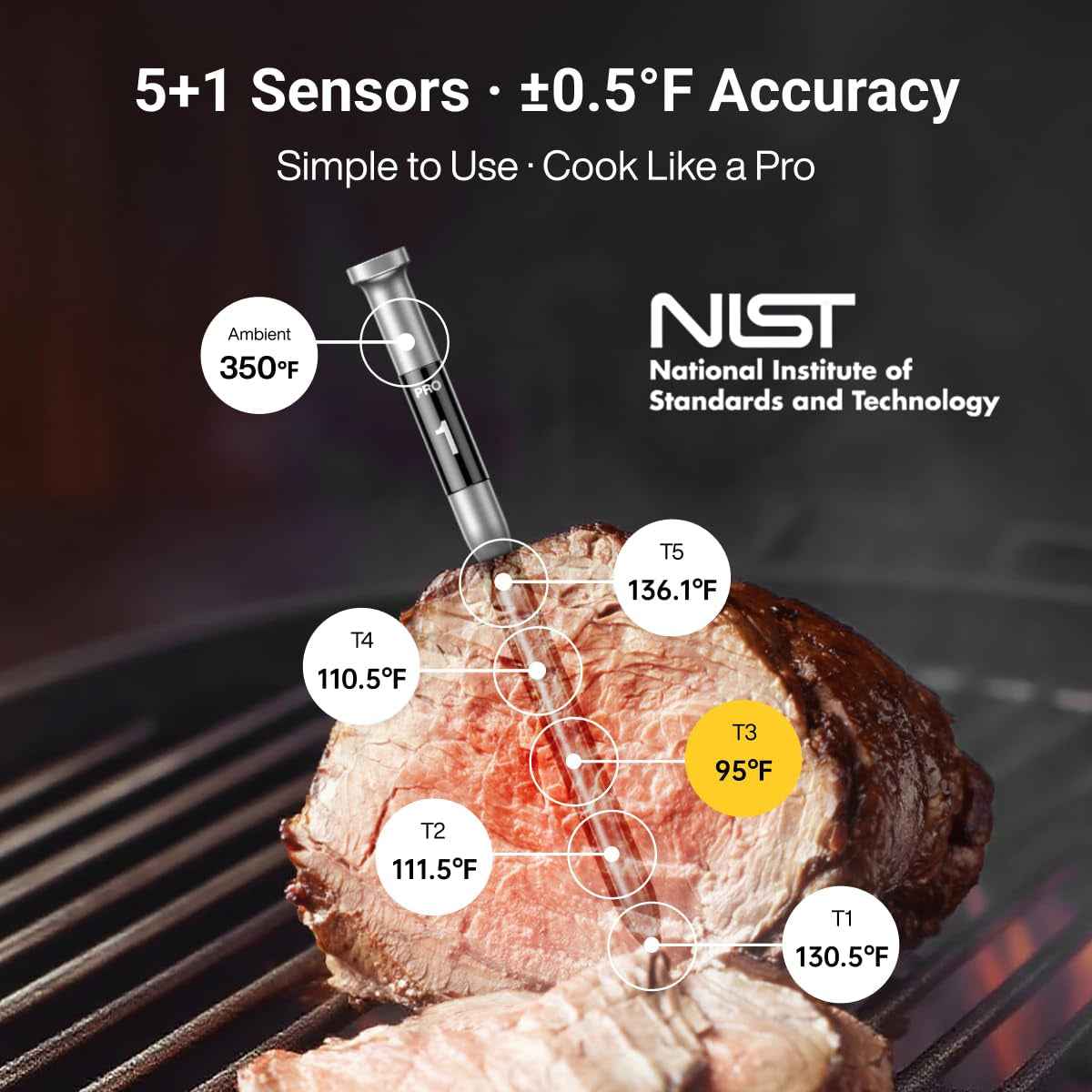 3000ft-wireless-meat-thermometer-no-app-needed-2-probes-sub-1g-long-range-digital-smart-base-6-sensor-nist-accuracy-ipx8-bbq-smoker-grill-oven-brisket-steak-turkey-pork-roast
