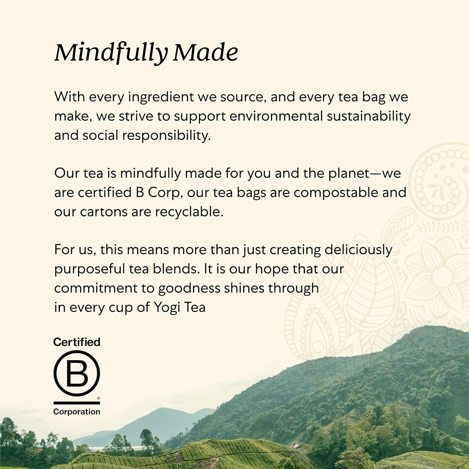 sweet-tangerine-positive-energy-tea-16-tea-bags-4-pack-organic-energy-tea-with-black-tea-leaf-yerba-mate-leaf-and-ashwagandha-root-sweet-floral-tangerine-flavor