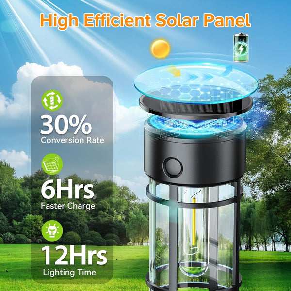 12 Pack Solar Pathway Lights Outdoor, Solar Lights Outdoor Waterproof IP65, Bright Solar Garden Lights Outdoor, Auto On/Off Outdoor Solar Lights for Yard Walkway Driveway Landscape Garden Decor6