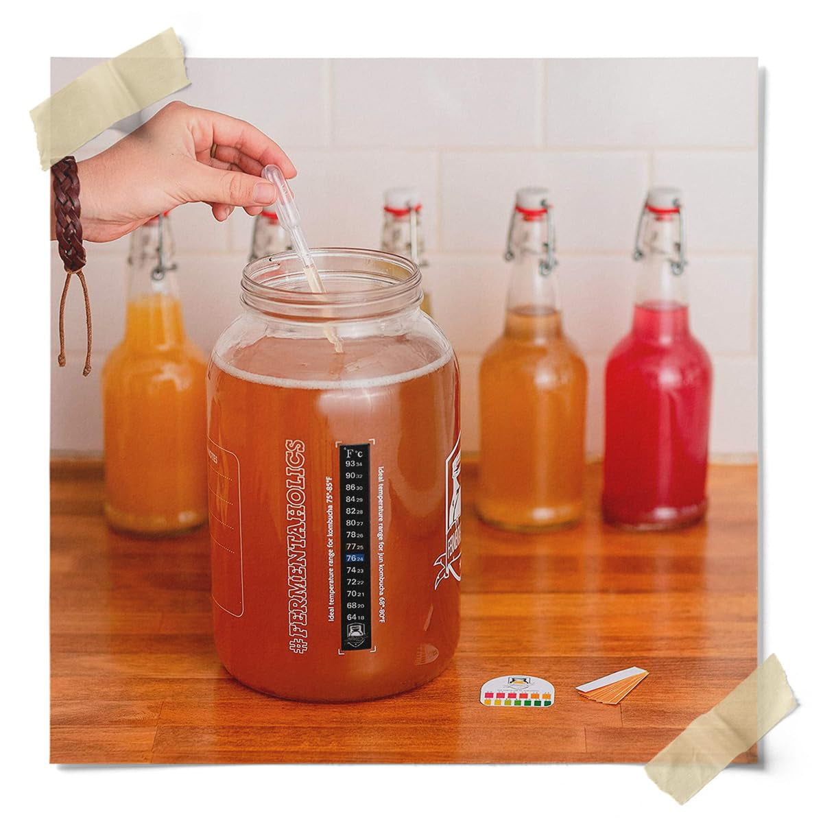 organic-kombucha-scoby-with-twelve-ounces-of-starter-tea-live-starter-culture-makes-a-one-gallon-batch-1-5-cups-of-strong-mature-starter-tea-brew-your-own-kombucha-1-pack-1-count