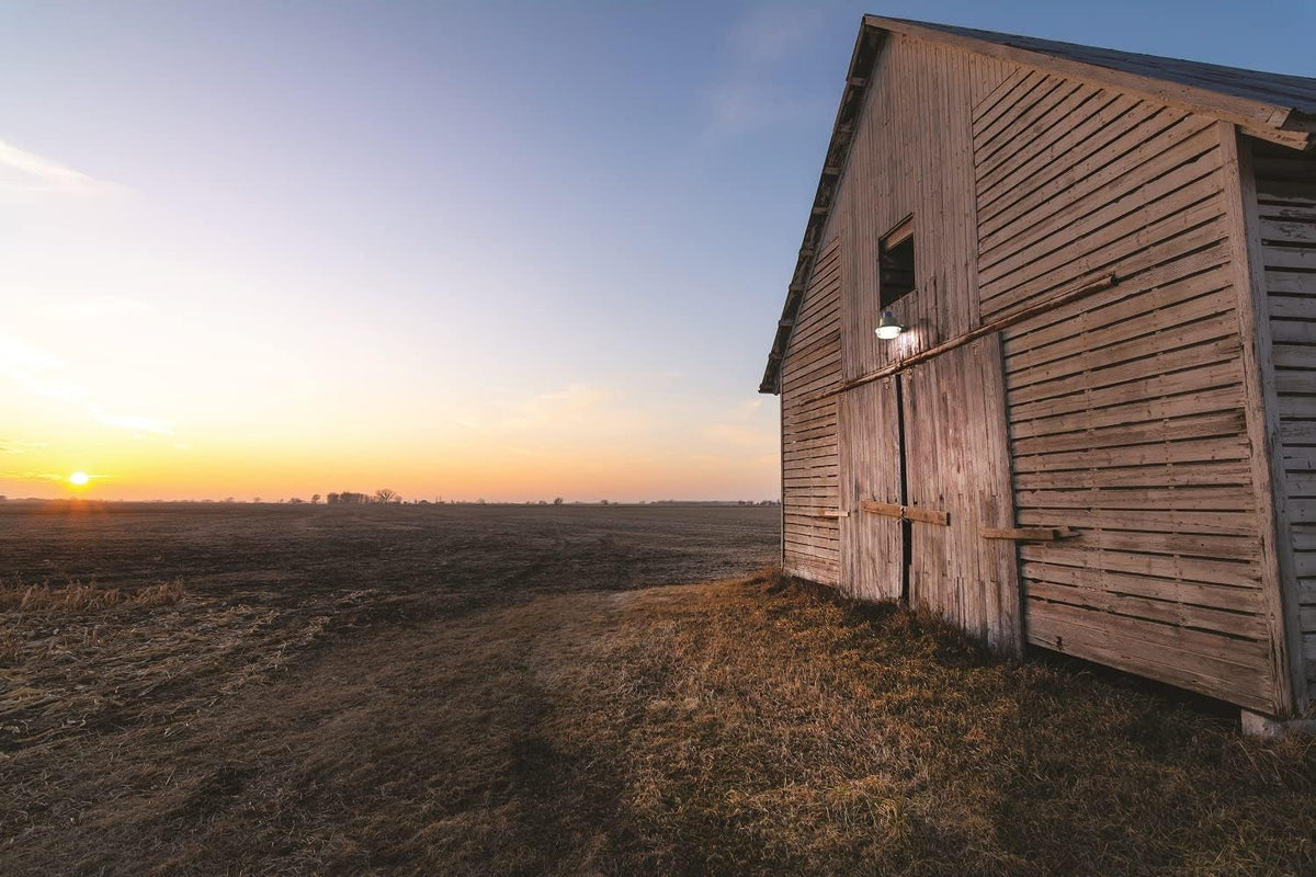 barnguard-led-barn-light-adj-brightness-and-color-temp