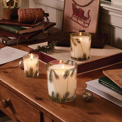 Thymes Frasier Fir Pine Needle Candle – Holiday Candles for Home Scented with Notes of Crisp Siberian Fir, Cedarwood & Sandalwood – Christmas Decor (6.5 Oz)5