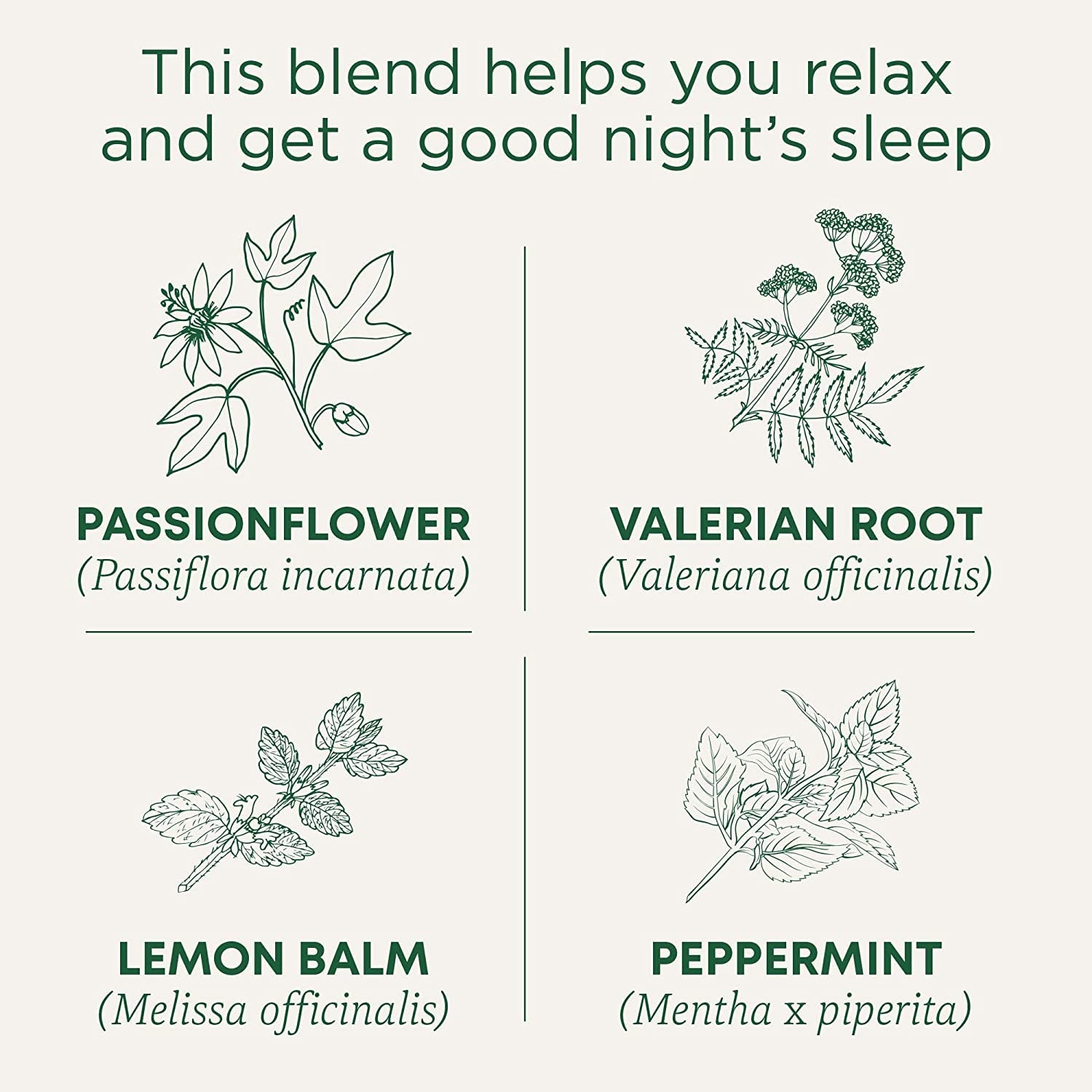 organic-nighty-night-extra-16-tea-bags