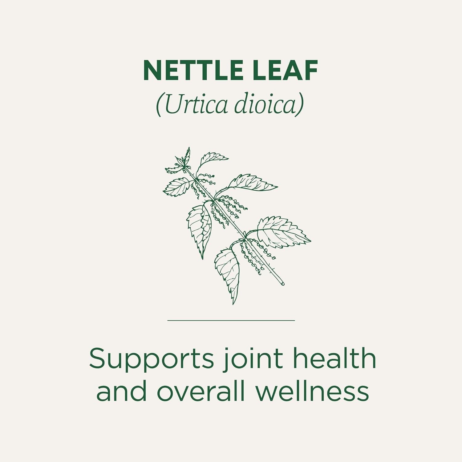 traditional-medicinals-organic-nettle-16-tea-bags-supports-joint-health-overall-wellness-with-stinging-nettle-kosher-non-gmo-caffeine-free-compostable